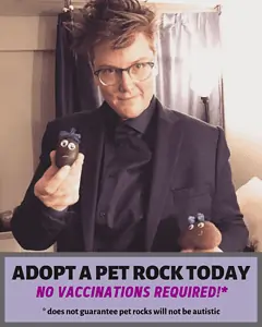Image is a photo of Hannah Gadsby in a dark suit, holding some of her handmade pet rocks. A text box at the bottom says, “ADOPT A PET ROCK TODAY / No vaccinations required!* / *does not guarantee pet rocks will not be autistic”