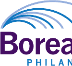Borealis logo which has alternating blue and grey lines arching over their name "Borealis Philanthropy"