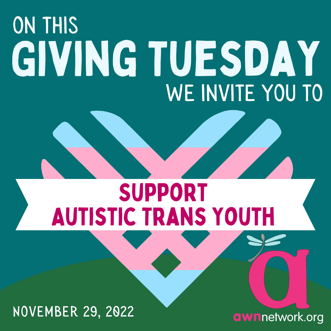 Giving Tuesday Email Newsletter Supporting Autistic Trans Youth