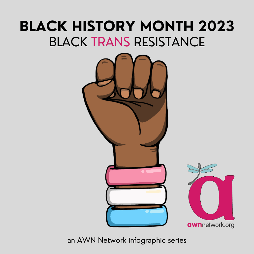 llustration and text against a pale grey background. Text reads: “BLACK HISTORY MONTH 2023 BLACK TRANS RESISTANCE” At center is a drawing of a Black fist raised with bracelets in the trans flag colors: pink, white and blue. At center bottom dark text reads: “an AWN Network Infographic Series” In the lower right hand corner is the awn logo: a large pink “a” with a teal spoonie dragonfly and our website awnnetwork.org.