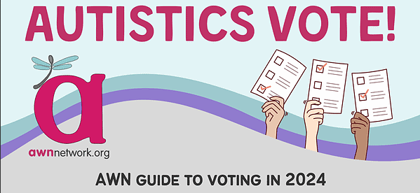 AWN Guide to Voting in 2024